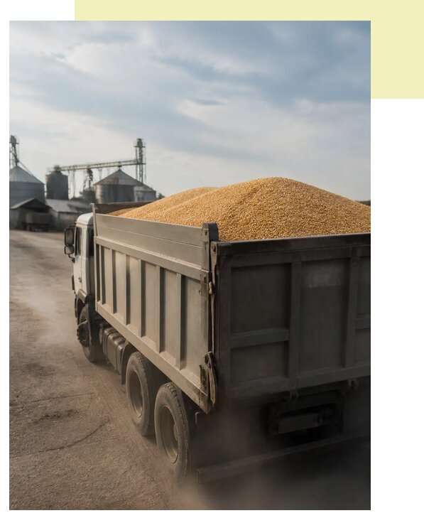 Перевозка сельхозпродукции навалом в Морозовск по цене от 3080 р. | Агросервис-Мрз