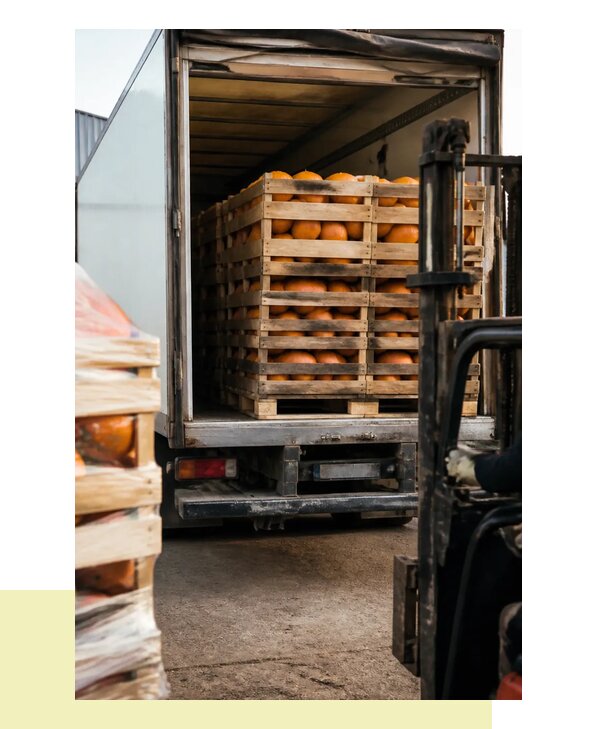 Перевозка тыквы в Морозовск с гарантией сохранности груза